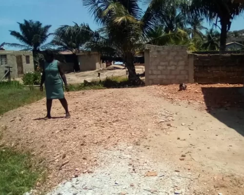 Groundsforlearninghub